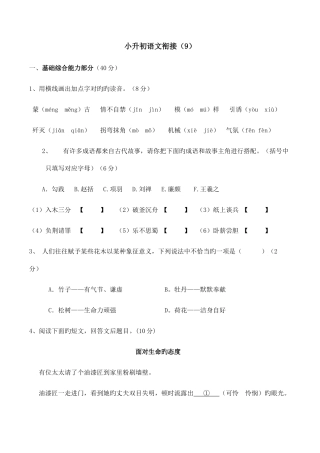 2025年小升初语文衔接九