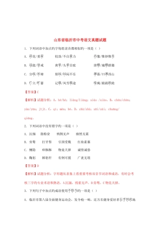 2025年山东省临沂市中考语文真题试题含解析