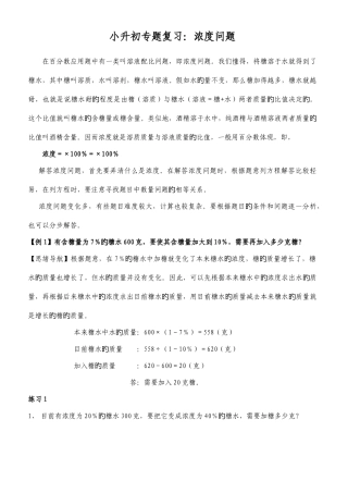 2025年小升初专题复习溶液浓度问题