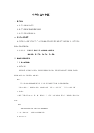 2025年小升初病句专题