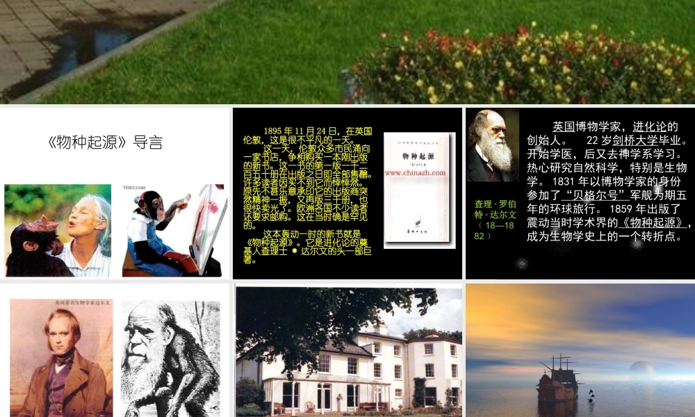 物种起源导言