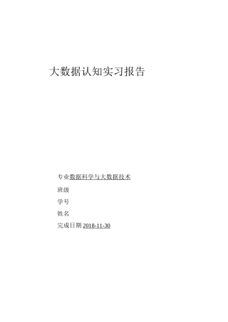 大数据专业实习报告