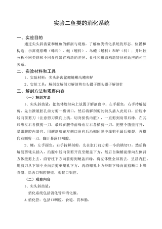 鱼类的消化系统