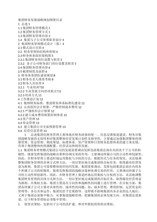 集团财务发展战略规划纲要