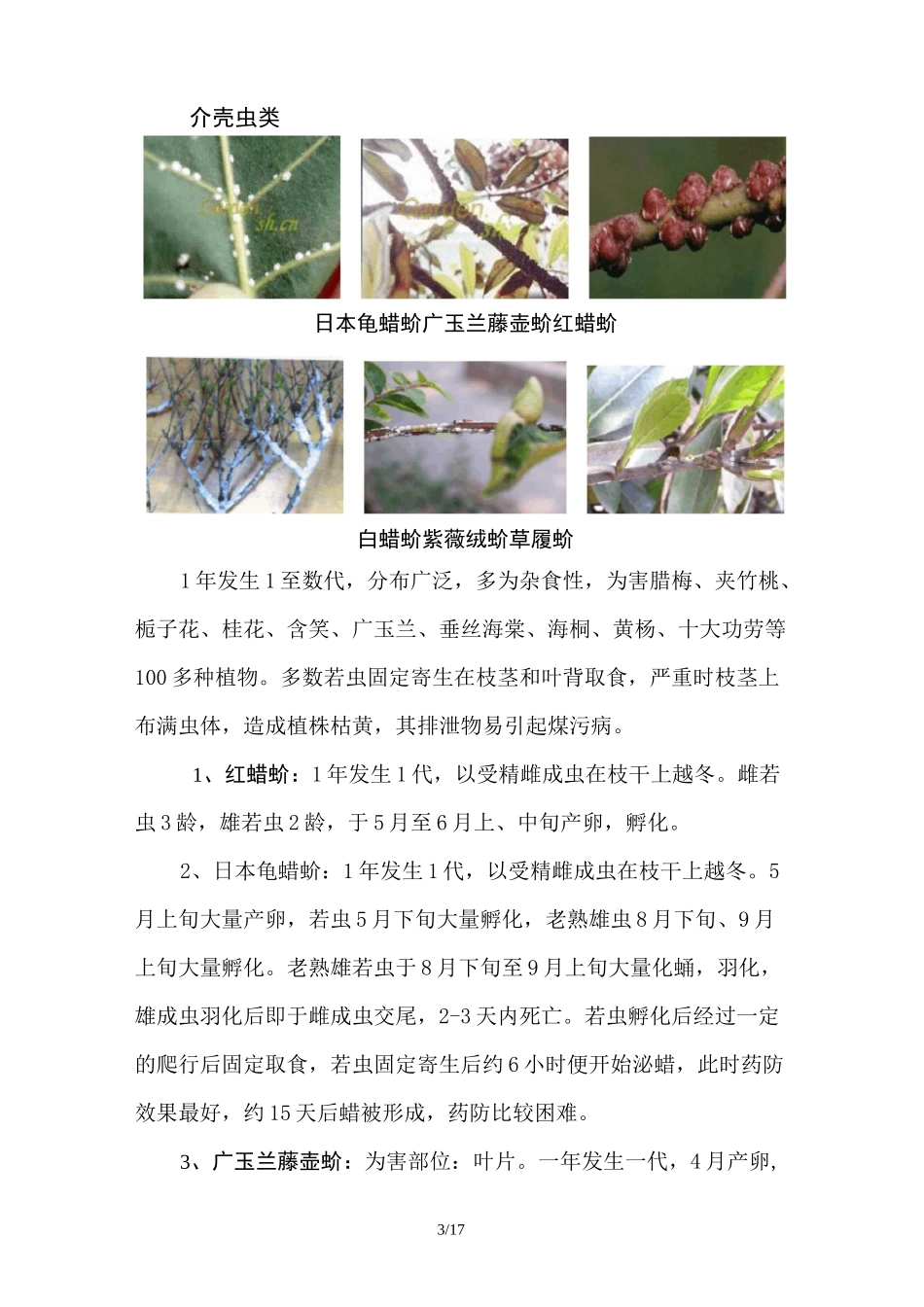 病虫害防治措施_第3页
