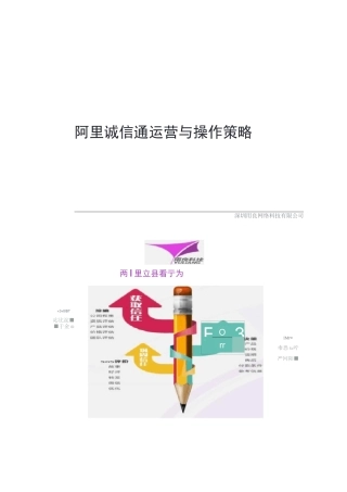 阿里店铺运营策略方案.