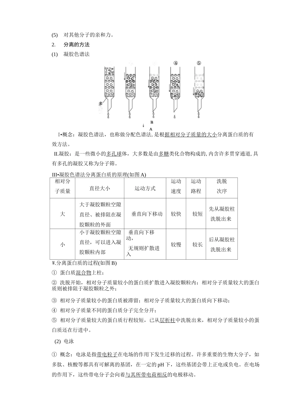 (完整版)血红蛋白的提取和分离基础知识_第2页