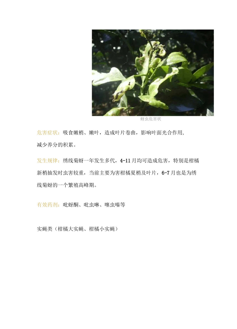 柑橘夏季多发虫害图鉴及防治方法_第2页