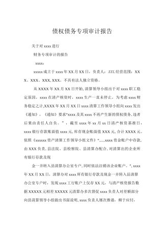 债权债务专项审计报告