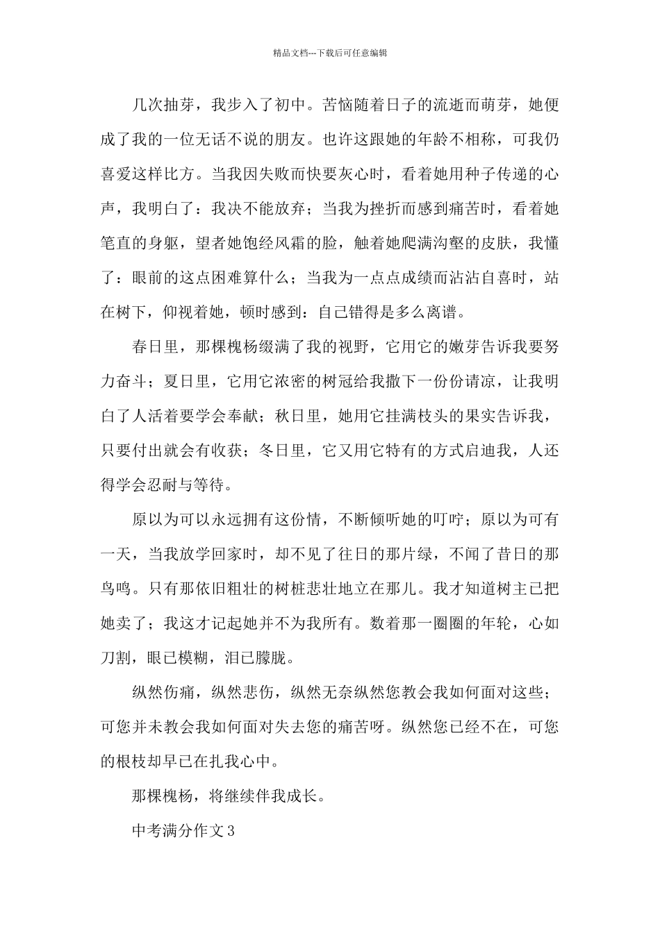 中考满分作文精选优秀范文_第3页