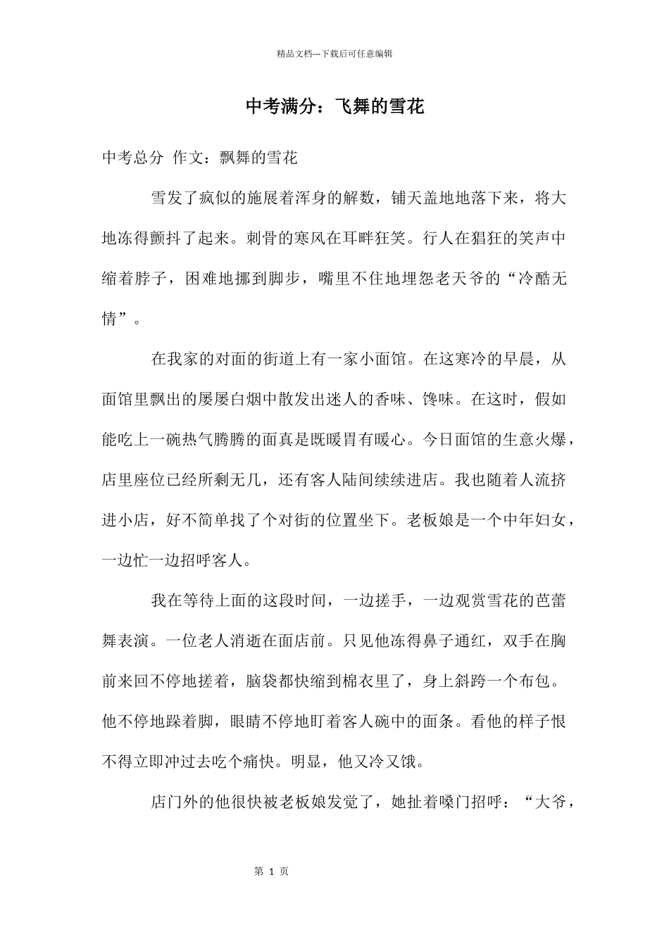 中考满分：飞舞的雪花_第1页