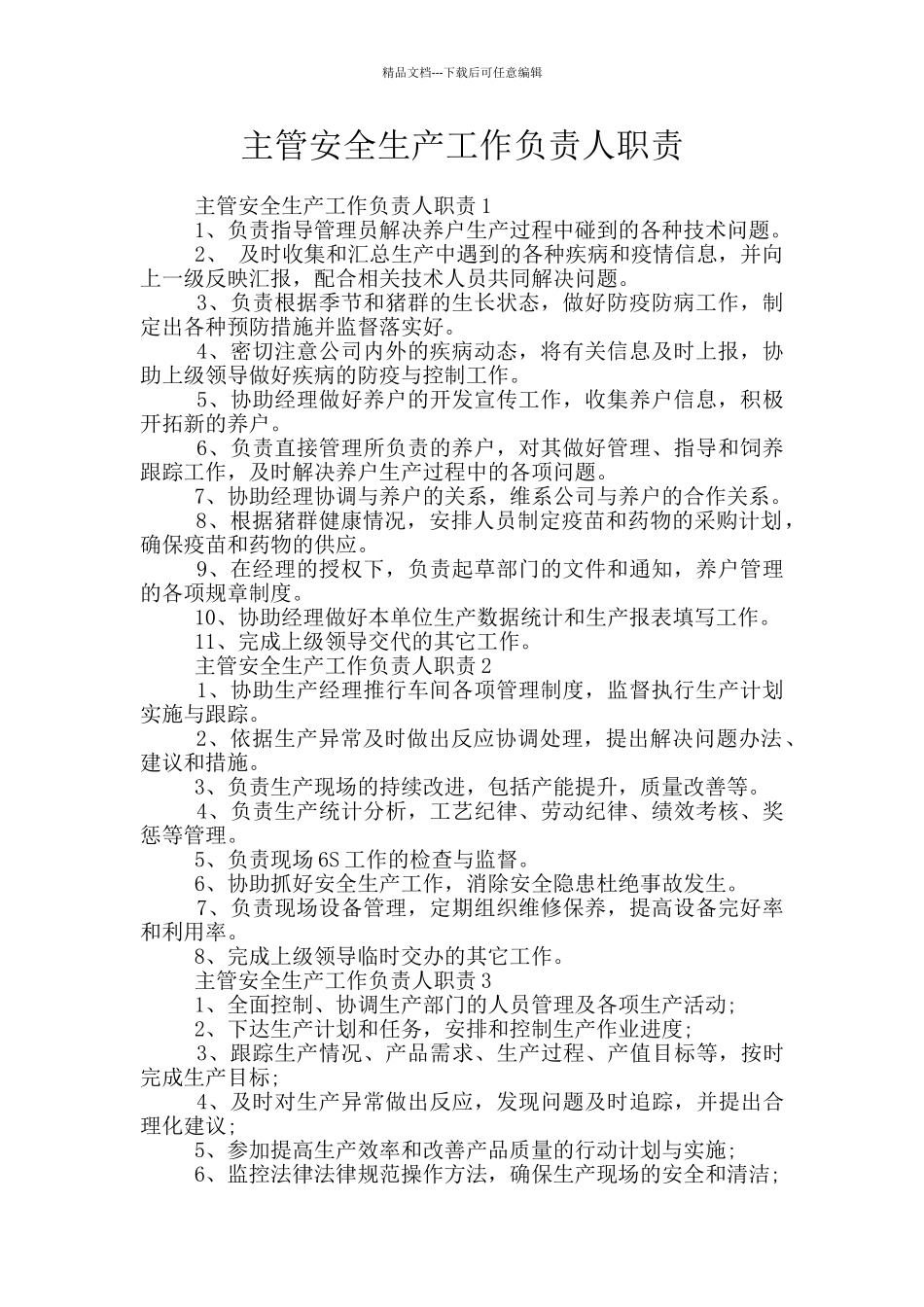 主管安全生产工作负责人职责_第1页