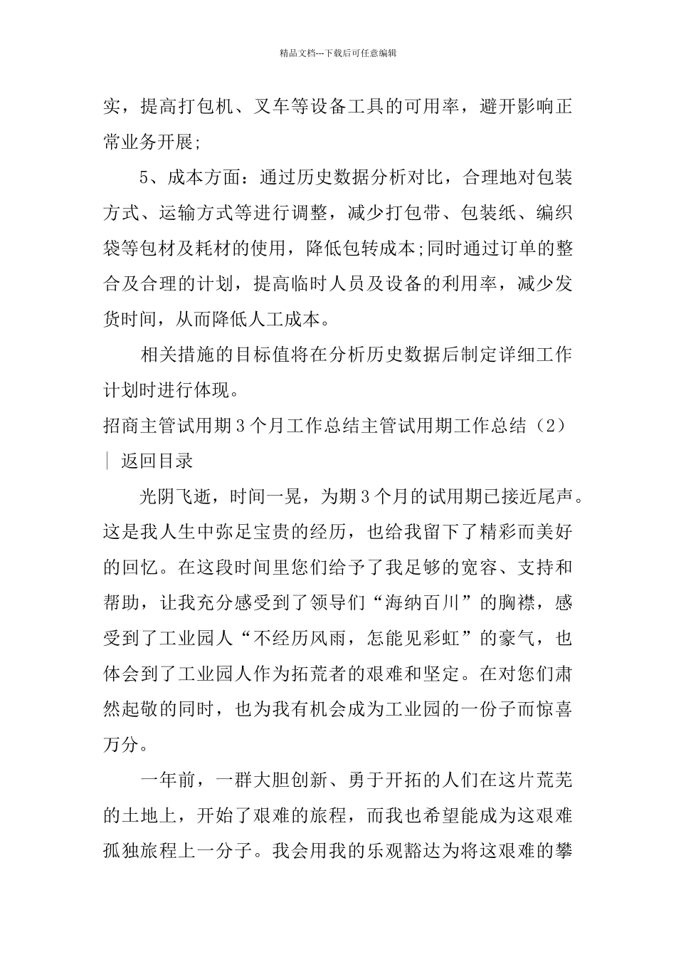 主管试用期工作总结3篇_第3页