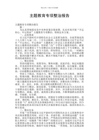 主题教育专项整治报告