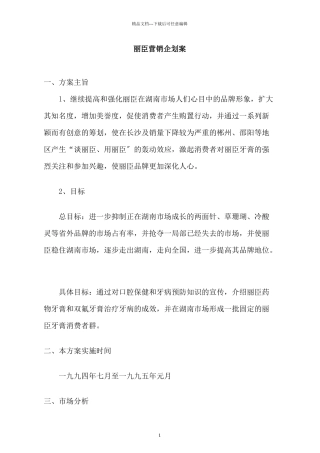 丽臣营销企划案