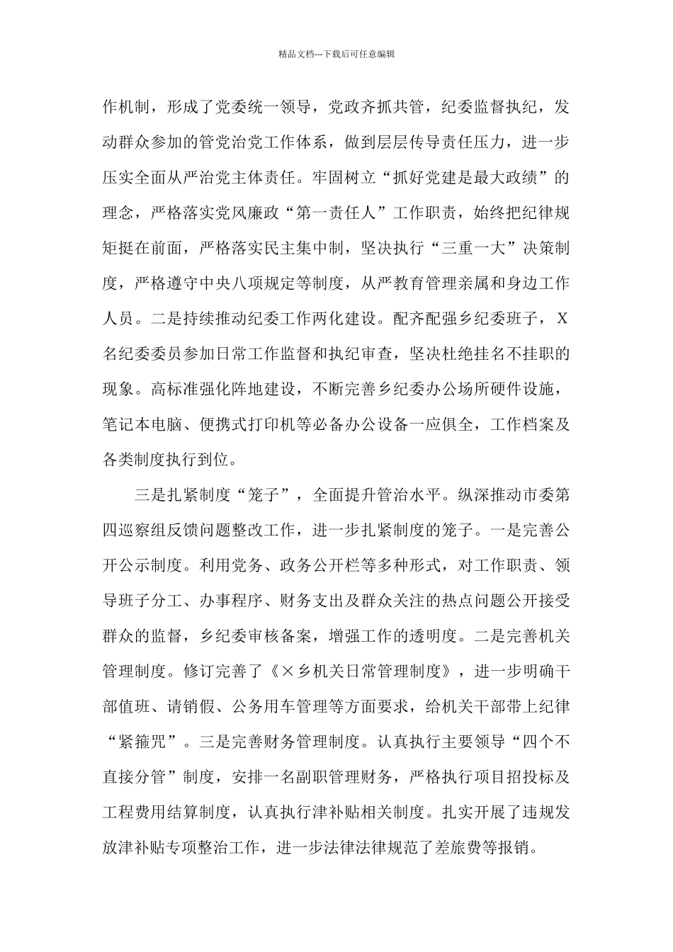 乡党委书记2024年述责述廉报告_第2页