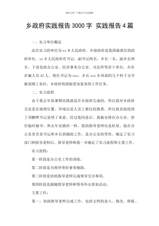 乡政府实践报告3000字
