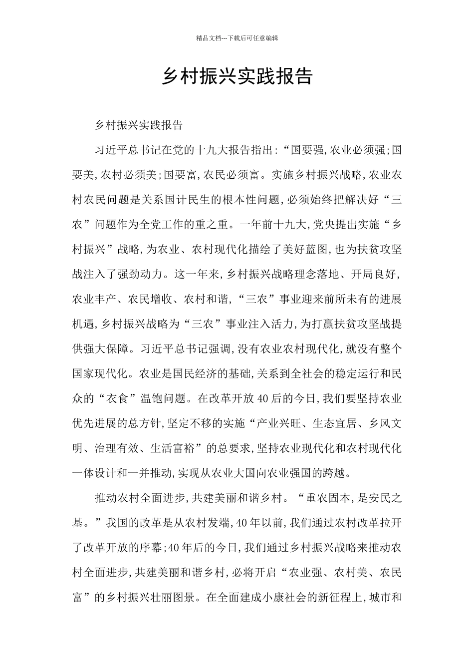 乡村振兴实践报告_第1页