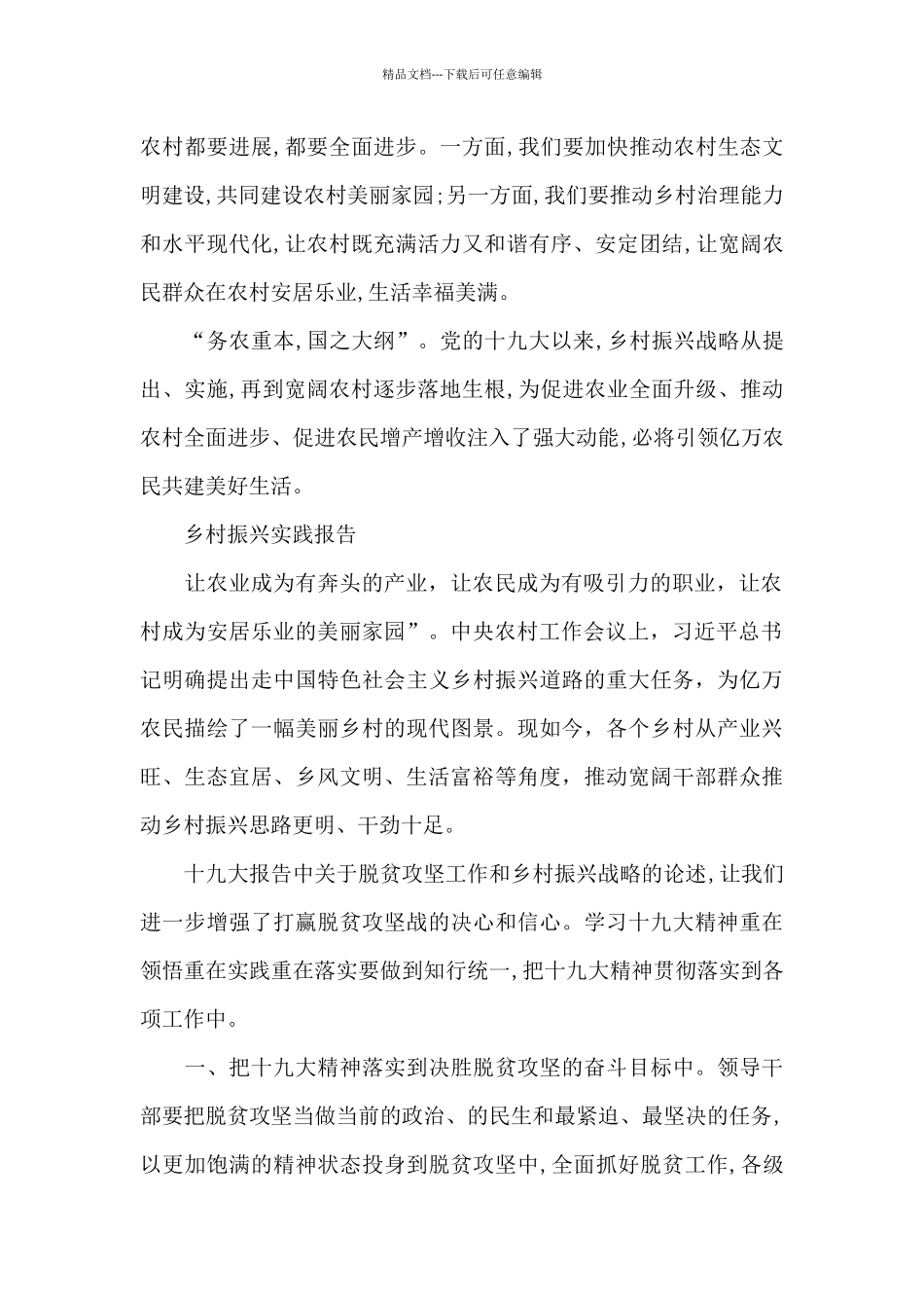 乡村振兴实践报告_第2页