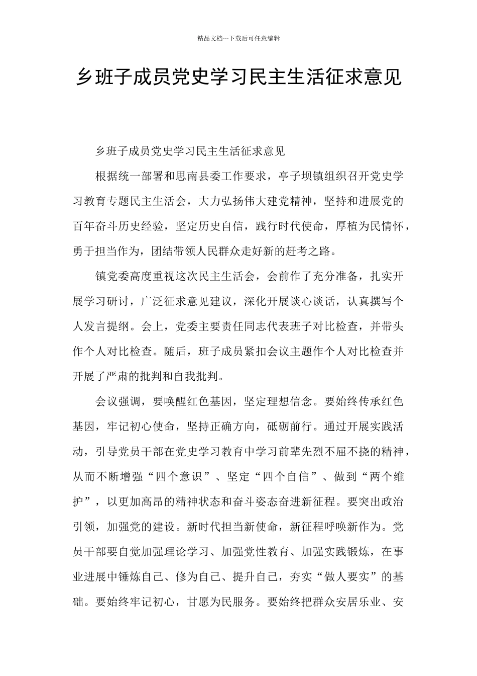 乡班子成员党史学习民主生活征求意见_第1页