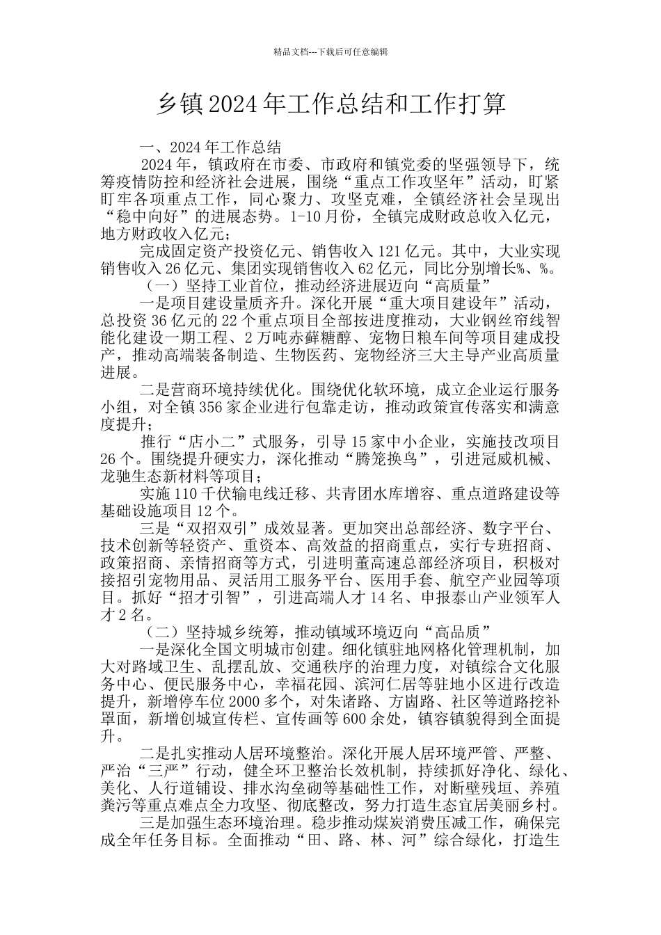 乡镇2024年工作总结和工作打算_第1页