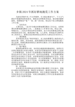 乡镇2024年抓好耕地抛荒工作方案