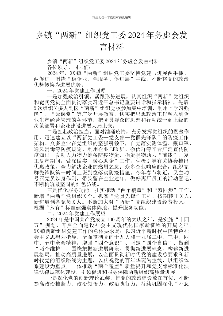 乡镇“两新”组织党工委2024年务虚会发言材料_第1页