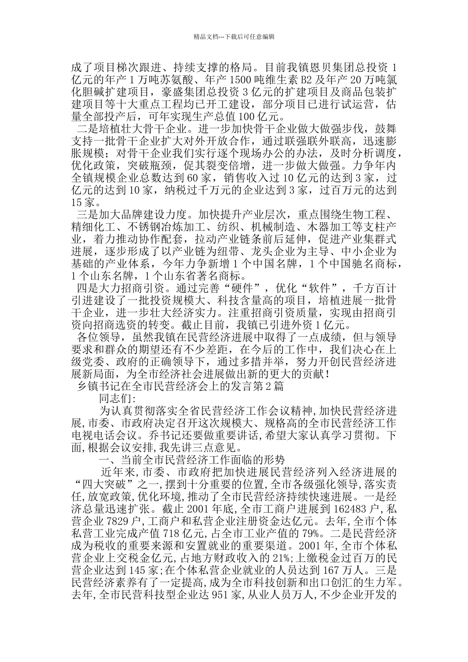 乡镇书记在全市民营经济会上的发言_第3页