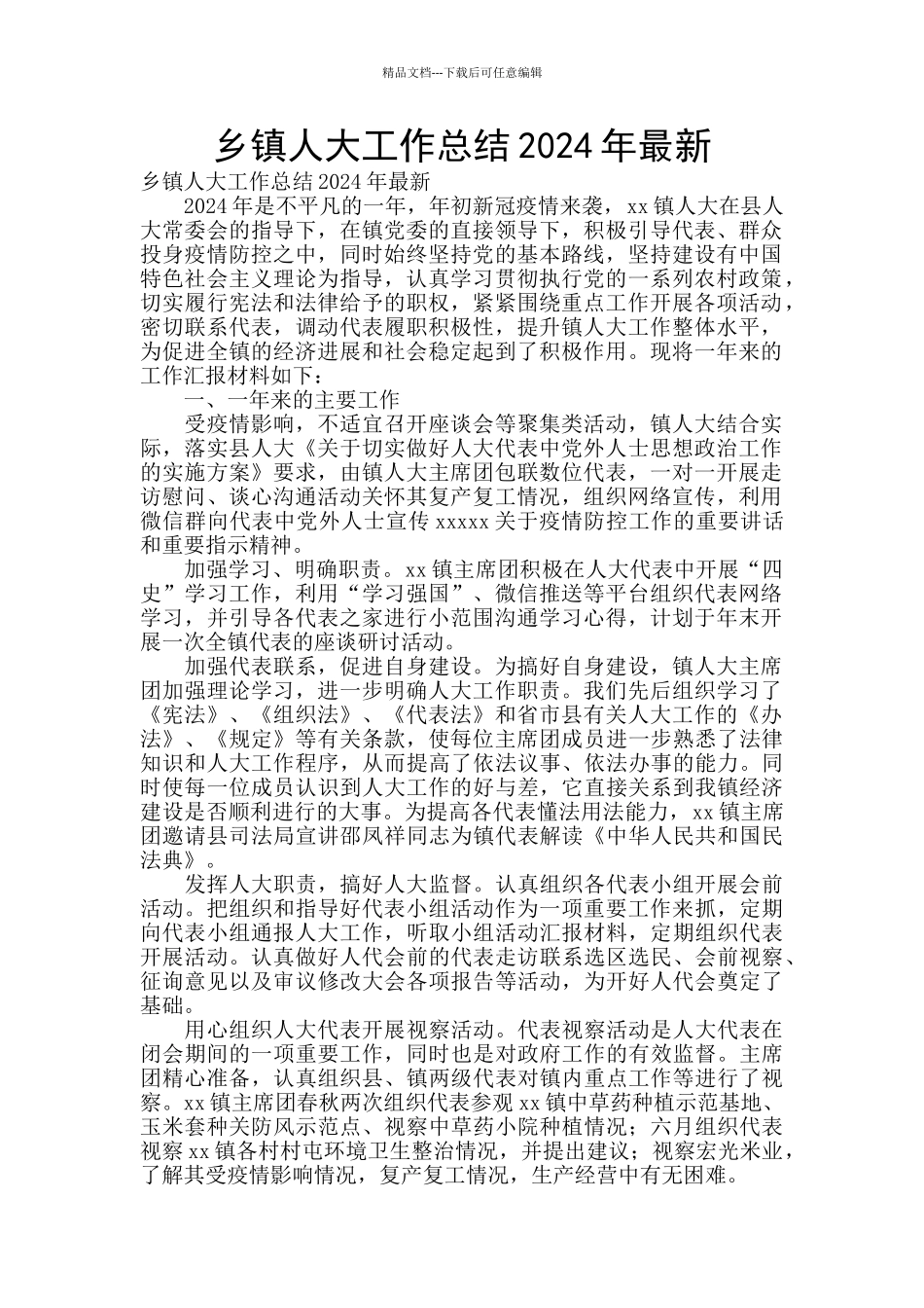 乡镇人大工作总结2024年最新_第1页