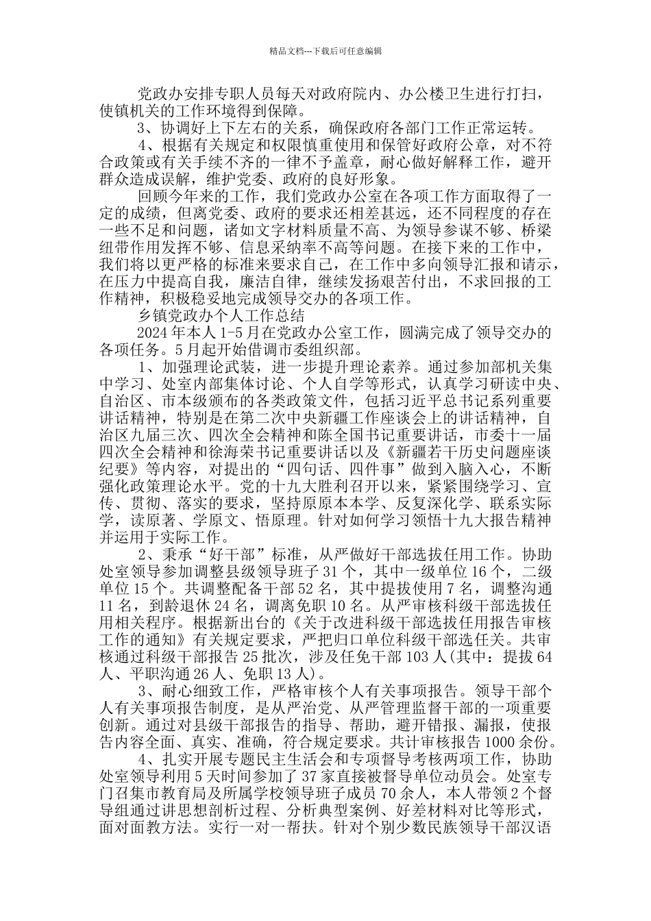 乡镇党政办个人工作总结_第2页