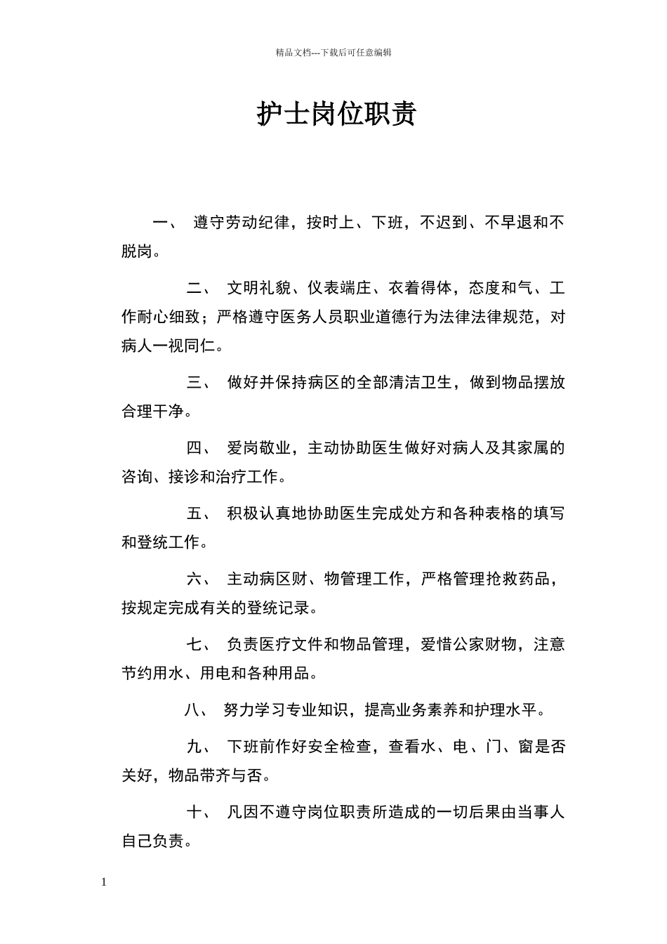 乡镇卫生院各级护士职责;护理核心制度;各班护士职责_第1页