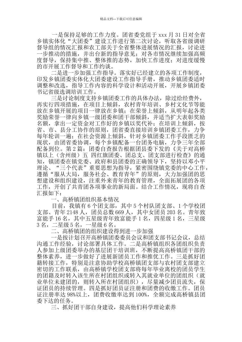 乡镇团委自查报告_第3页