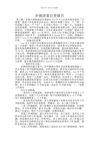 乡镇团委自查报告