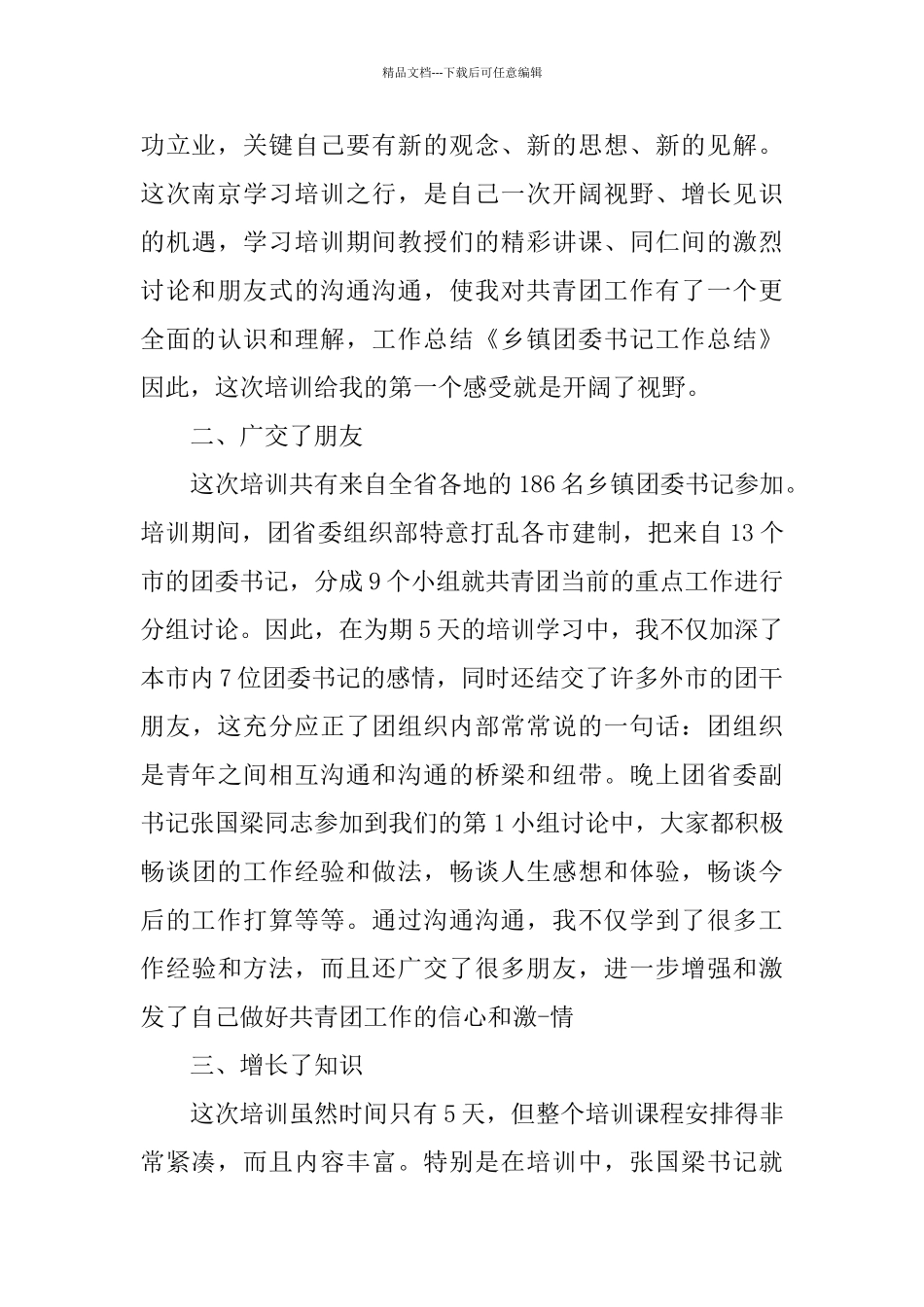 乡镇团委书记个人总结_第2页