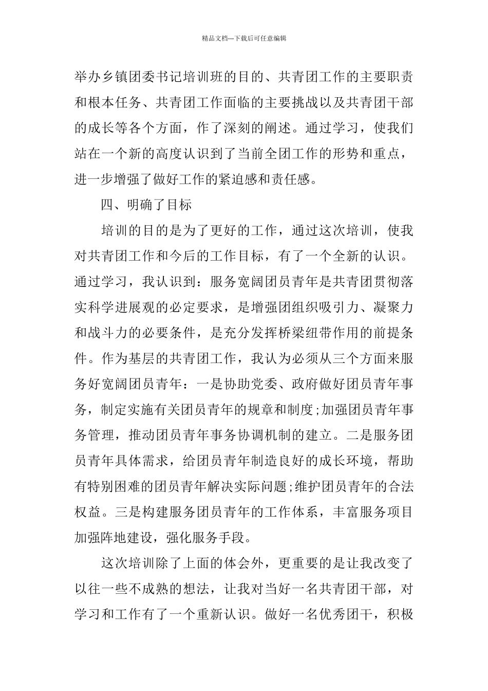 乡镇团委书记个人总结_第3页