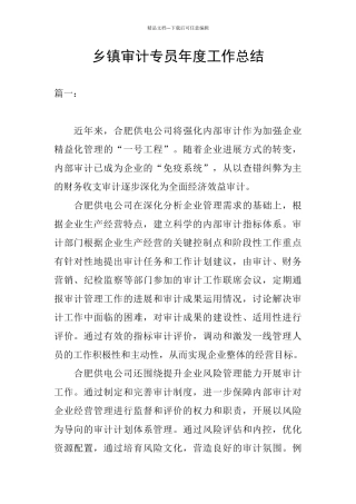 乡镇审计专员年度工作总结