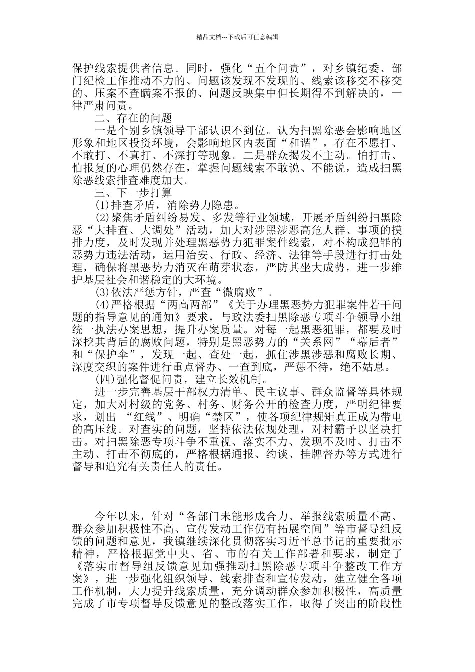乡镇扫黑除恶督导反馈意见整改落实情况报告_第2页