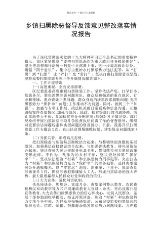 乡镇扫黑除恶督导反馈意见整改落实情况报告