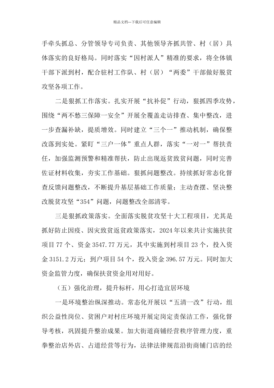 乡镇政府2024年工作总结_第3页