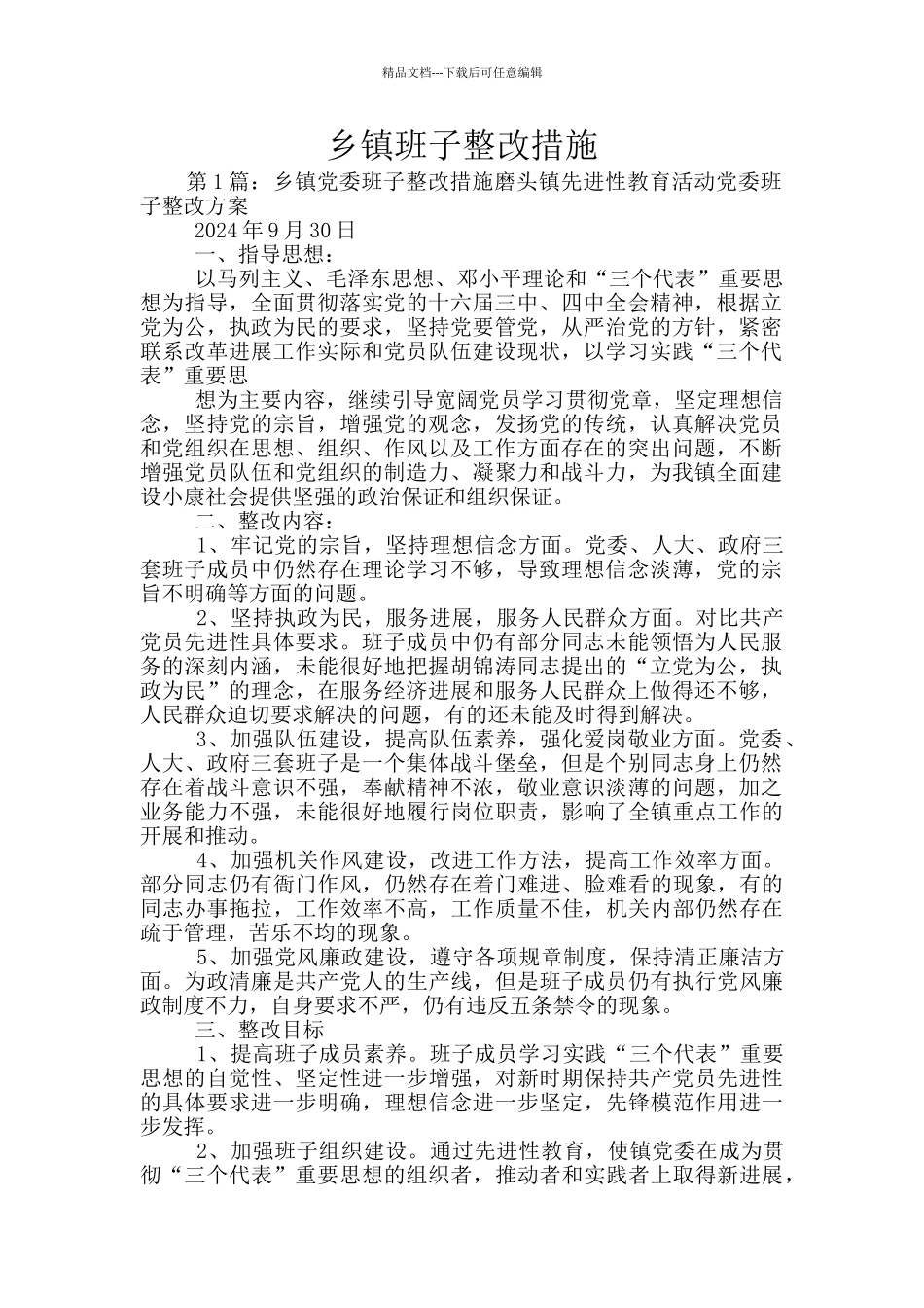 乡镇班子整改措施_第1页