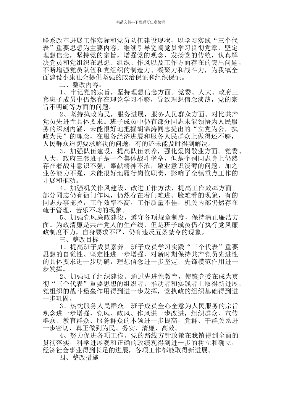 乡镇班子整改措施_第3页