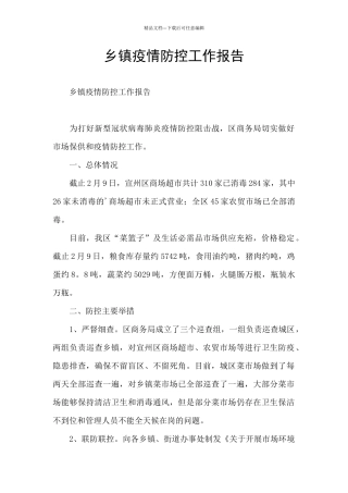 乡镇疫情防控工作报告