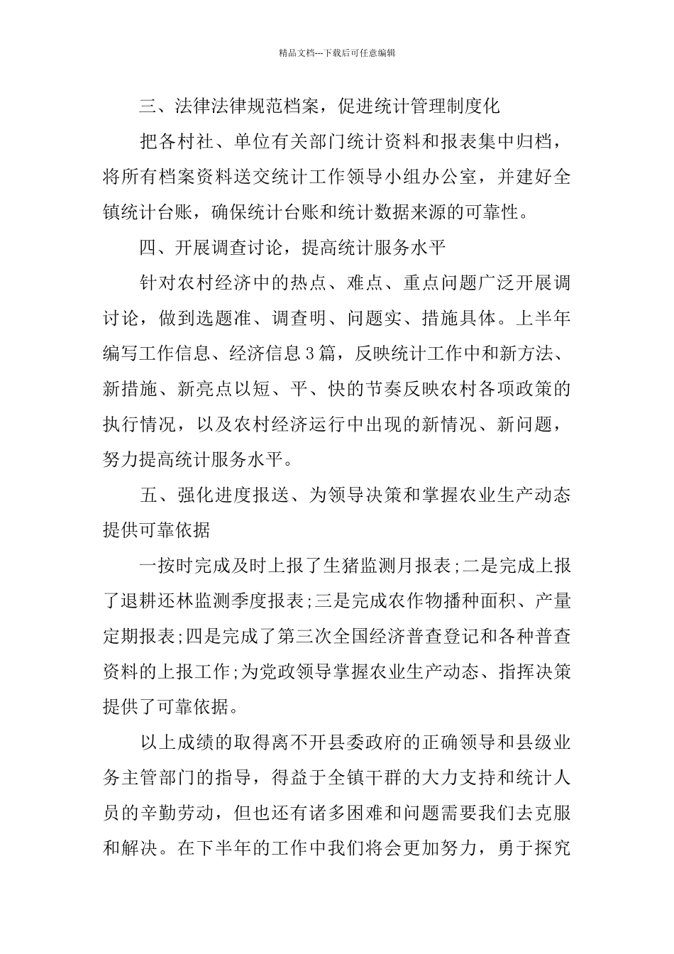 乡镇统计个人工作总结三篇_第2页