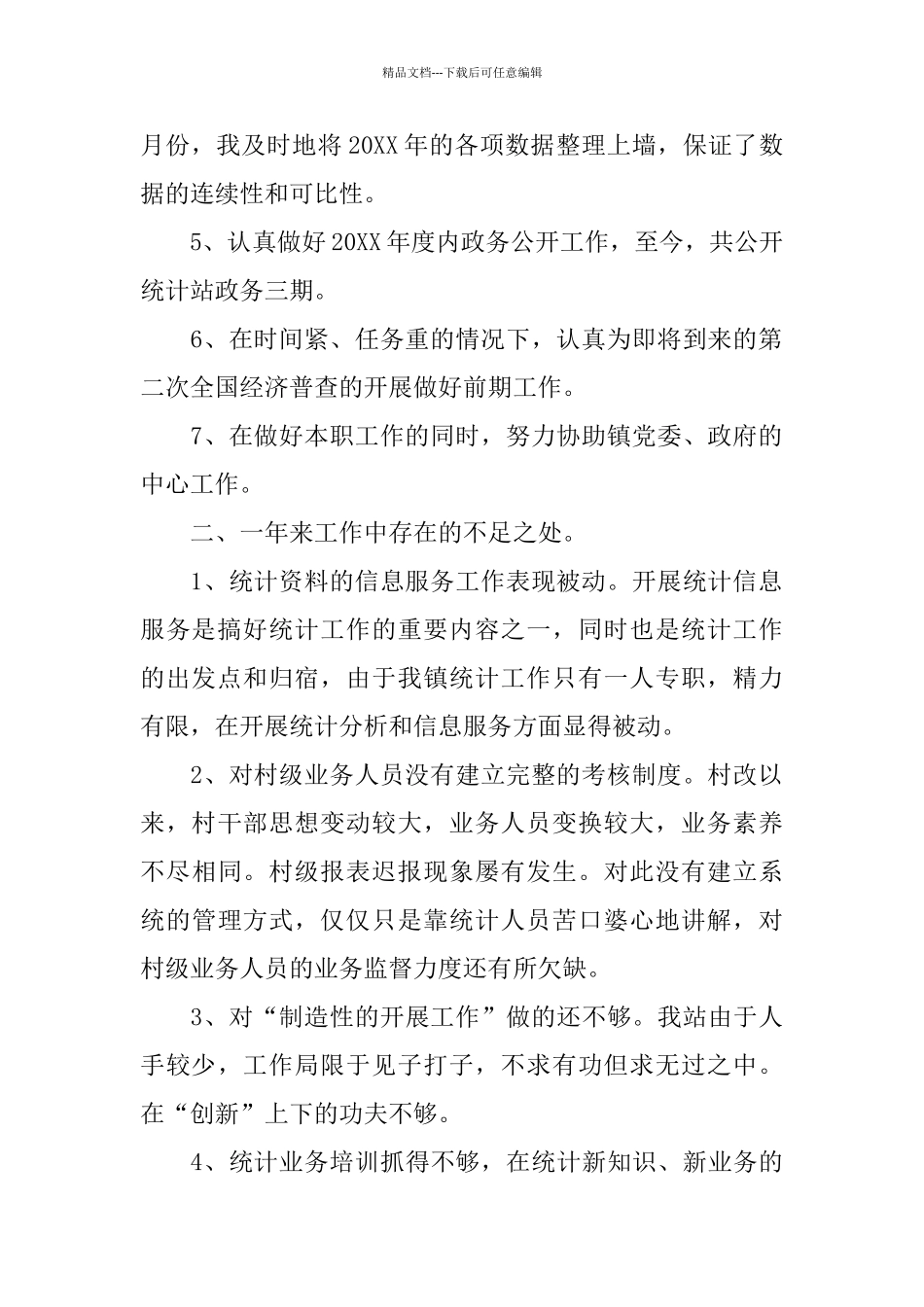 乡镇统计人员年终个人工作总结_第2页