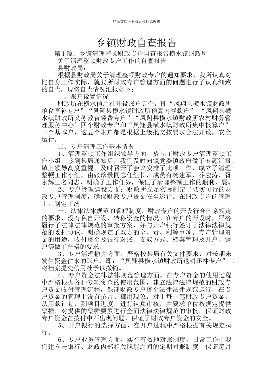 乡镇财政自查报告_第1页