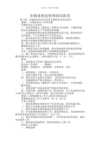 乡镇食药站管理岗位职责