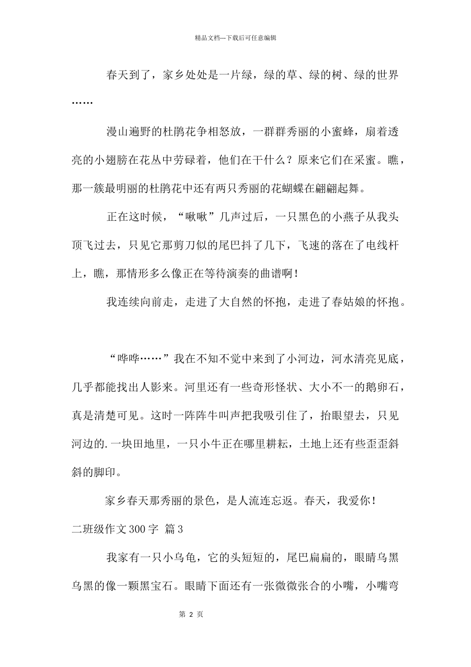 二年级作文300字集锦6篇_第2页