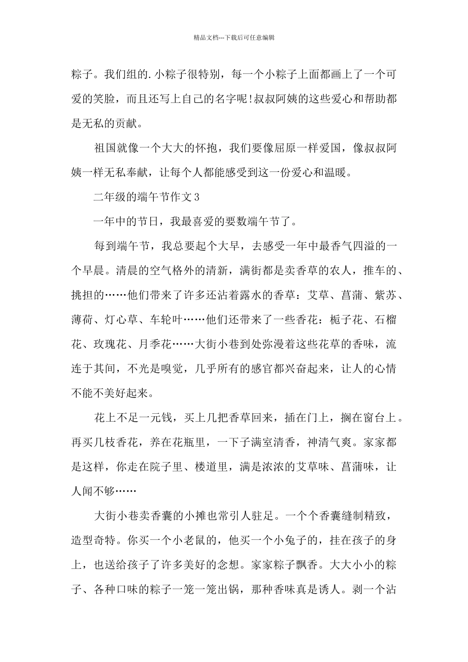 二年级的端午节作文范文5篇_第3页