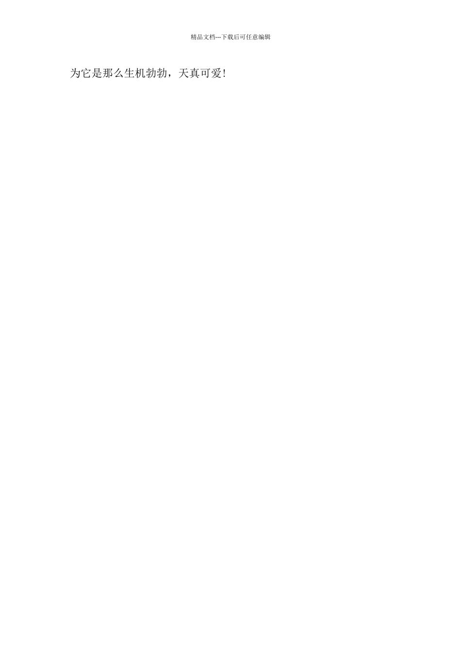 二肥——我的爱宠_第2页