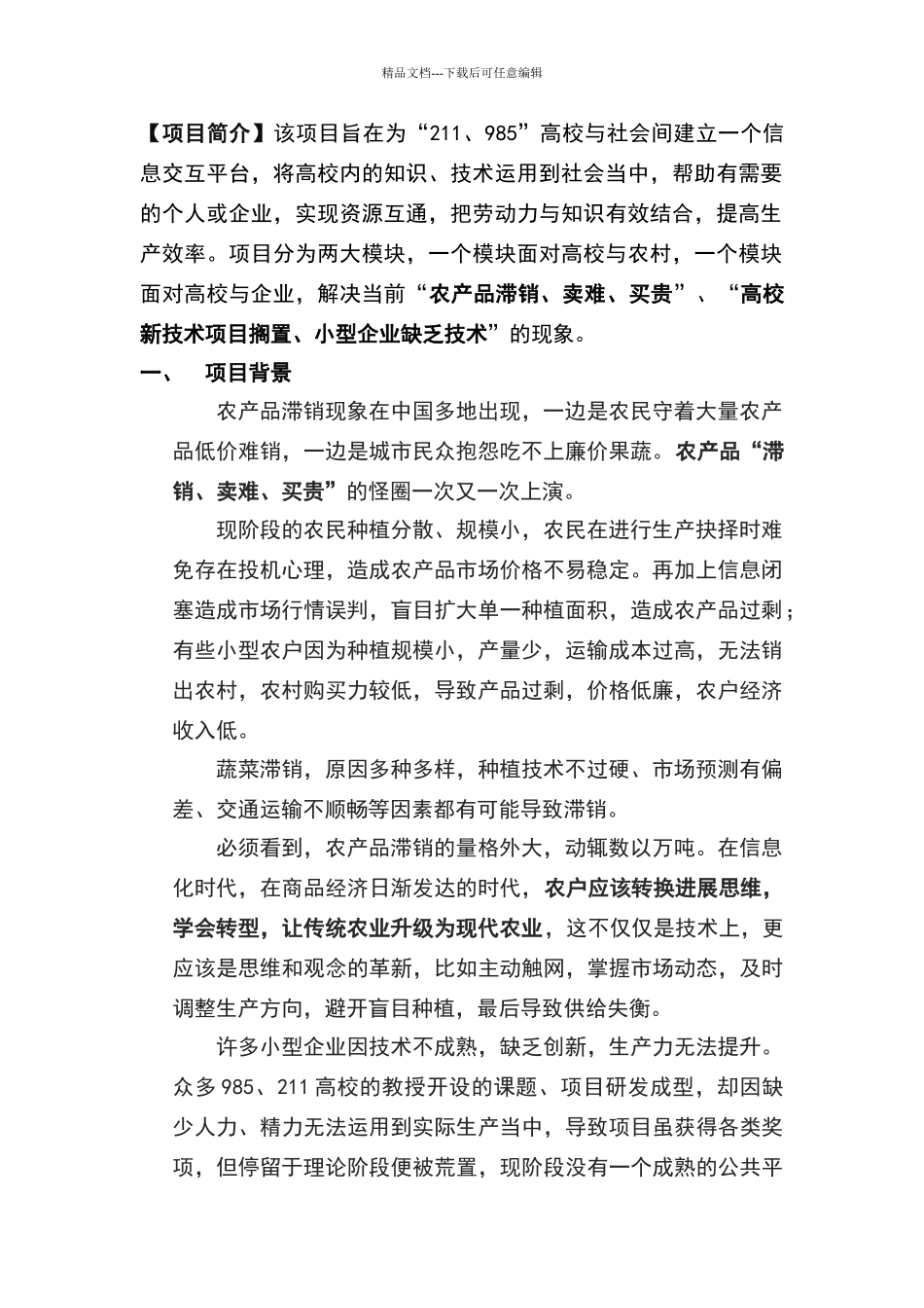 互联网+项目计划书_第3页